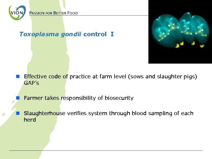 Toxoplasma gondii control I n Effective code of practice at farm level (sows and