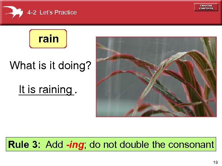 4 -2 Let’s Practice rain What is it doing? It is raining _____. Rule