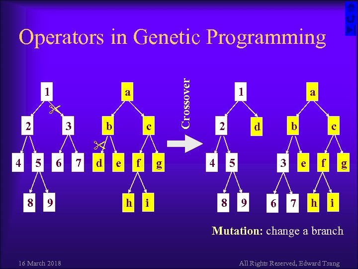 1 Crossover Operators in Genetic Programming a 2 4 3 5 8 6 9