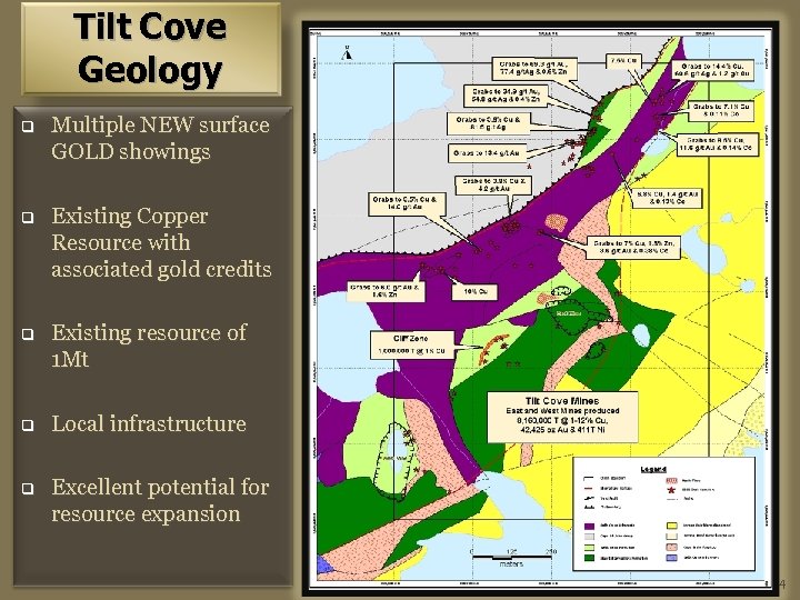 Tilt Cove Geology q Multiple NEW surface GOLD showings q Existing Copper Resource with