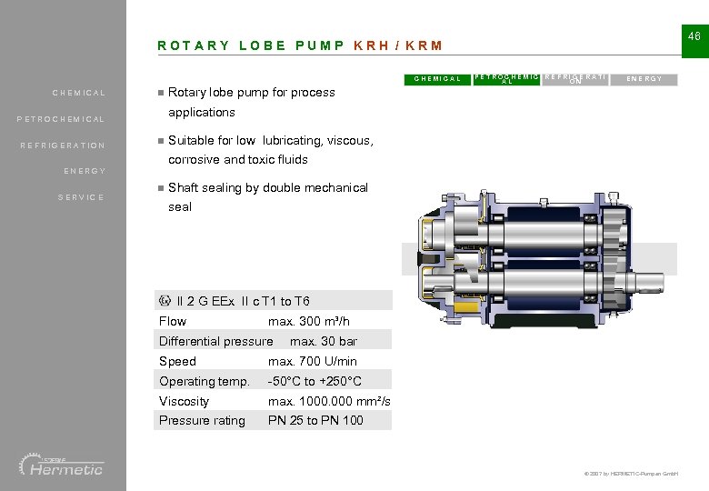 46 ROTARY LOBE PUMP KRH / KRM CHEMICAL n ENERGY Rotary lobe pump for