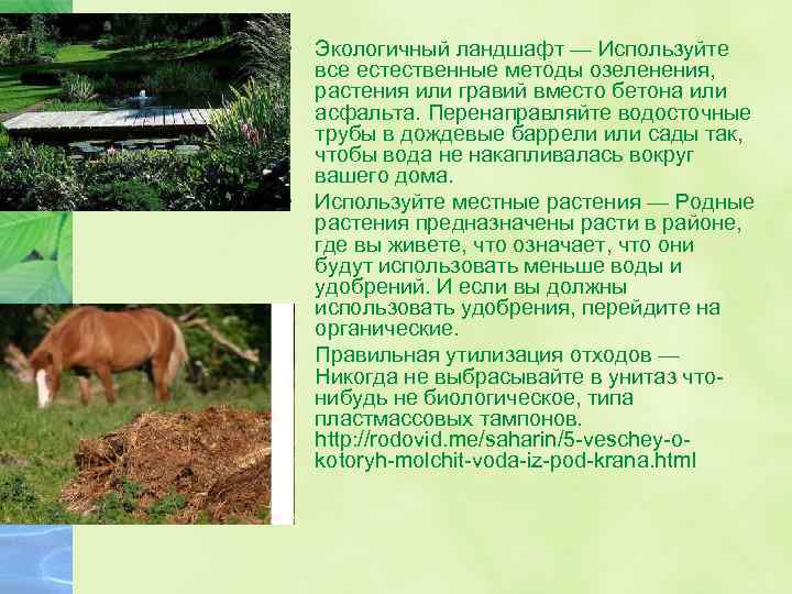  • Экологичный ландшафт — Используйте все естественные методы озеленения, растения или гравий вместо