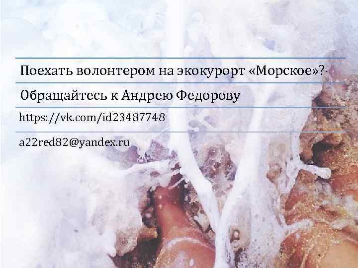 Поехать волонтером на экокурорт «Морское» ? Обращайтесь к Андрею Федорову https: //vk. com/id 23487748