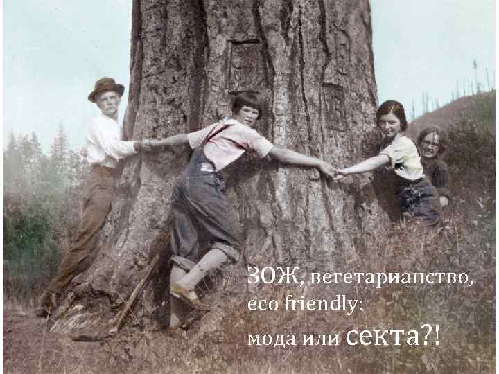 ЗОЖ, вегетарианство, eco friendly: мода или секта? ! 