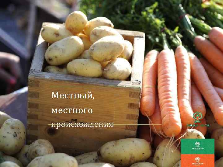 Местный, местного происхождения 