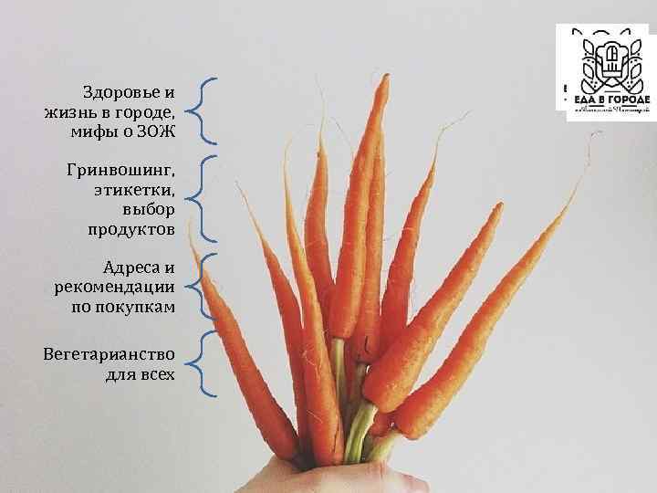 Здоровье и жизнь в городе, мифы о ЗОЖ Гринвошинг, этикетки, выбор продуктов Адреса и
