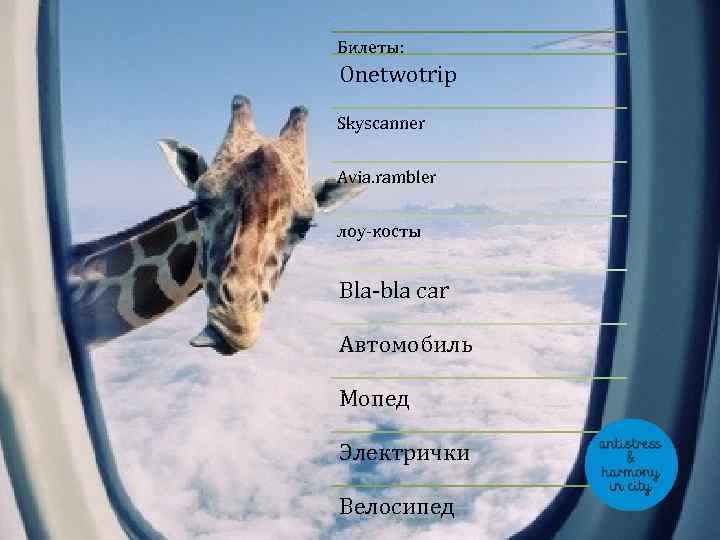 Билеты: Onetwotrip Skyscanner Avia. rambler лоу-косты Bla-bla car Автомобиль Мопед Электрички Велосипед 