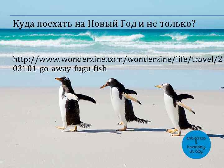 Куда поехать на Новый Год и не только? http: //www. wonderzine. com/wonderzine/life/travel/2 03101 -go-away-fugu-fish