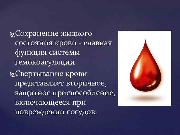 Сохранение жидкого состояния крови главная функция системы гемокоагуляции. Свертывание крови представляет вторичное, защитное приспособление,