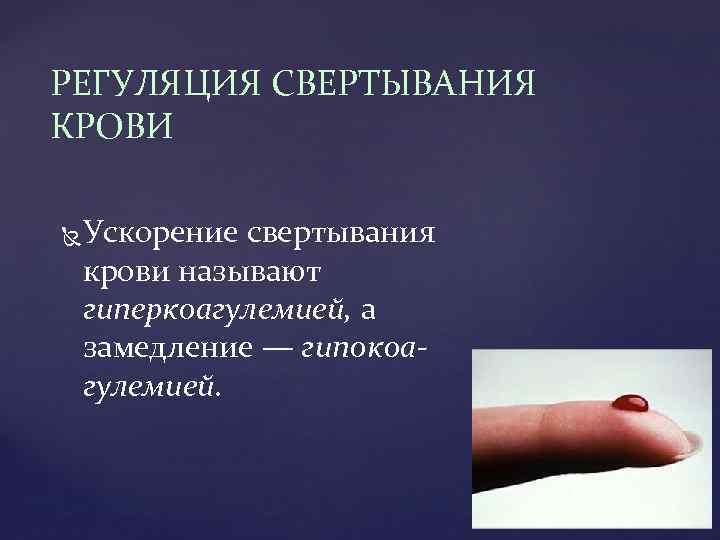 РЕГУЛЯЦИЯ СВЕРТЫВАНИЯ КРОВИ Ускорение свертывания крови называют гиперкоагулемией, а замедление — гипокоа гулемией. 