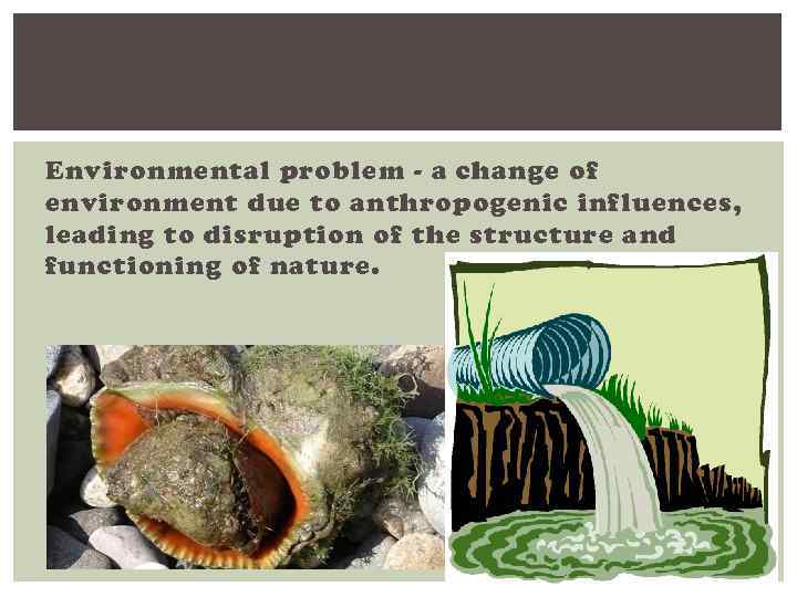 Environmental problem - a change of environment due to anthropogenic influences, leading to disruption