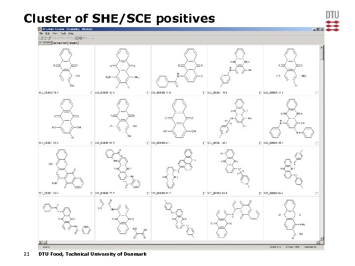 Cluster of SHE/SCE positives 21 DTU Food, Technical University of Denmark 