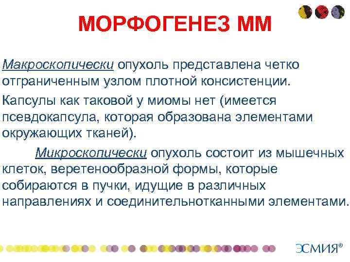  • • • МОРФОГЕНЕЗ ММ Макроскопически опухоль представлена четко отграниченным узлом плотной консистенции.