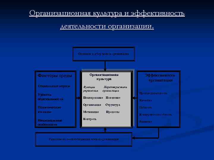 Организационная культура и эффективность деятельности организации. Оценка и подбор членов организации Факторы среды Социальные