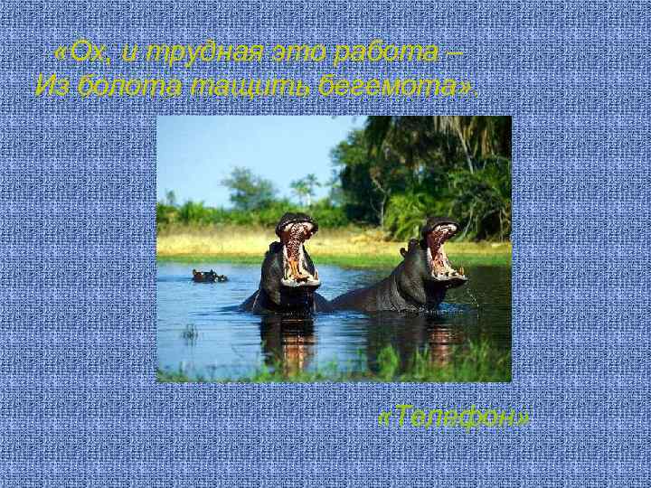  «Ох, и трудная это работа – Из болота тащить бегемота» . «Телефон» 