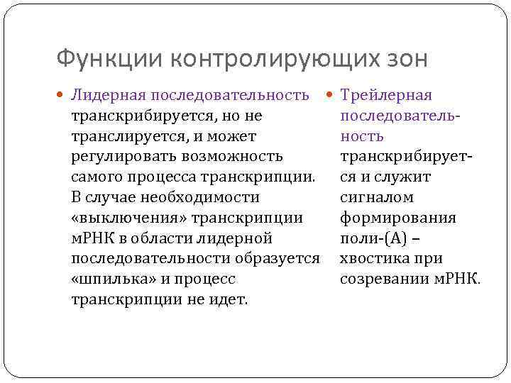 Функции контролирующих зон Лидерная последовательность Трейлерная транскрибируется, но не транслируется, и может регулировать возможность