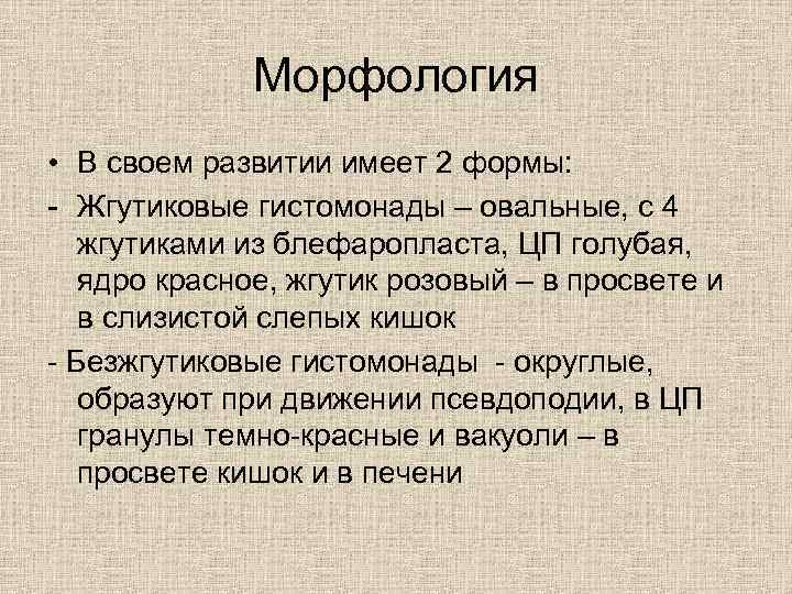 Морфология • В своем развитии имеет 2 формы: - Жгутиковые гистомонады – овальные, с