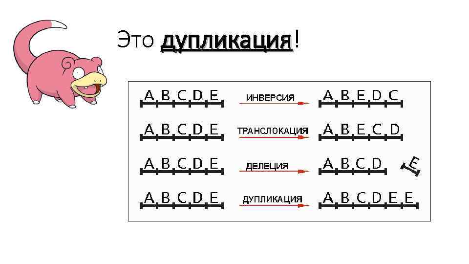 Это дупликация! дупликация 