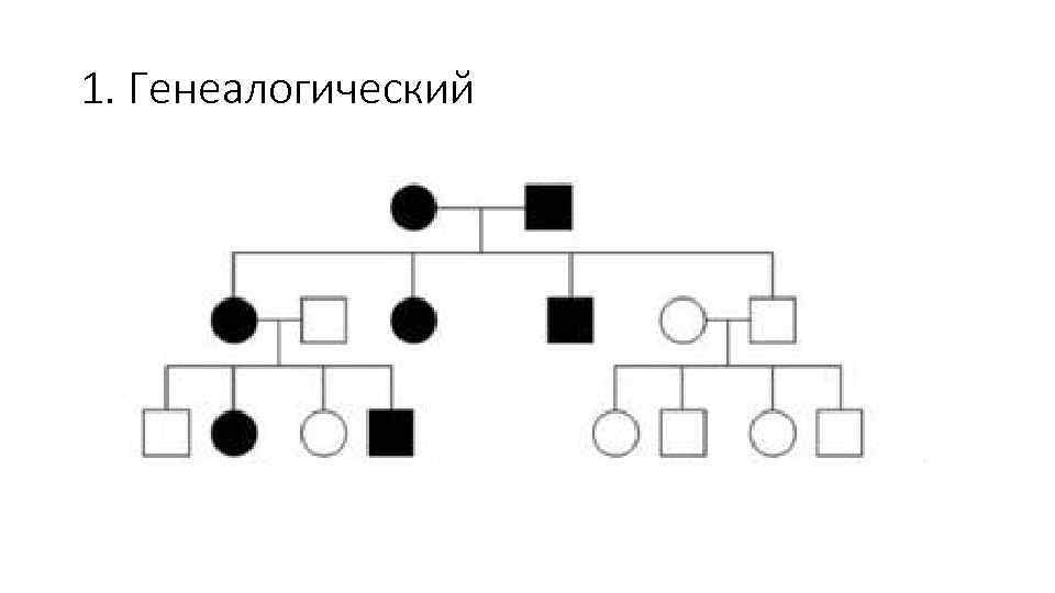 Генеалогическое исследование