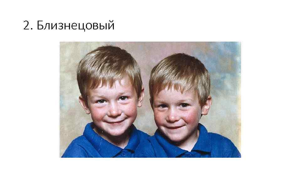 2. Близнецовый 