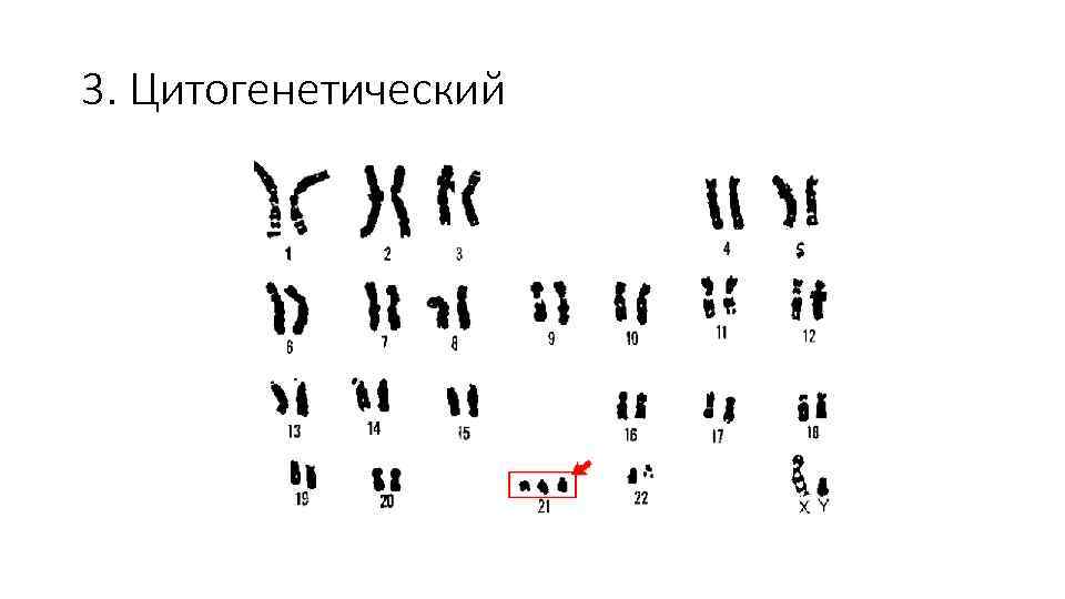 3. Цитогенетический 