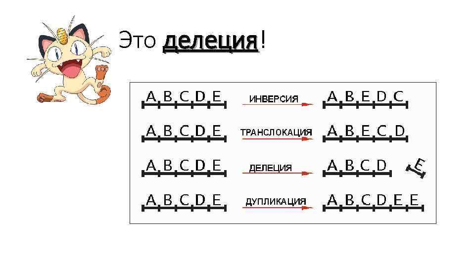 Это делеция! делеция 