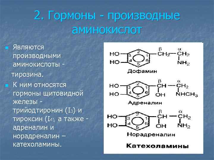 2. Гормоны - производные аминокислот Являются производными аминокислоты - тирозина. n К ним относятся