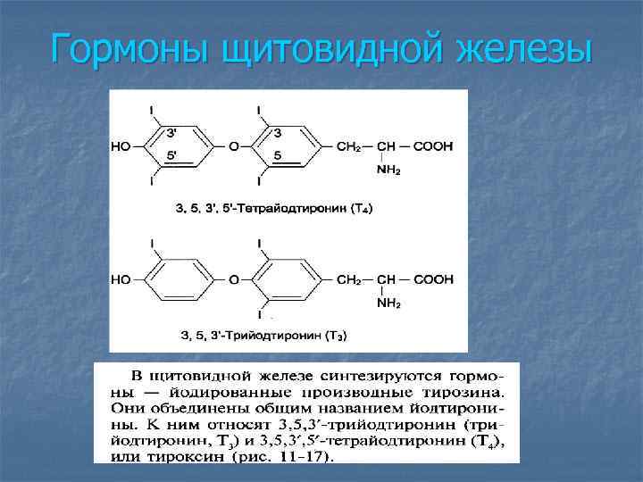 Гормоны щитовидной железы 