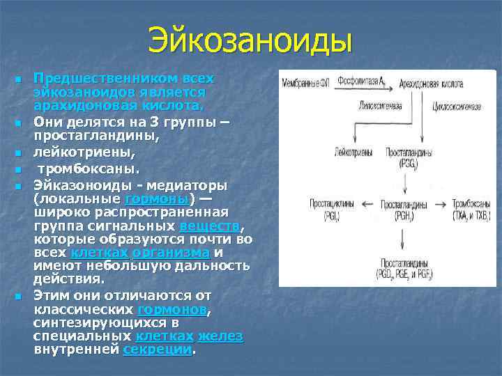 Эйкозаноиды n n n Предшественником всех эйкозаноидов является арахидоновая кислота. Они делятся на 3