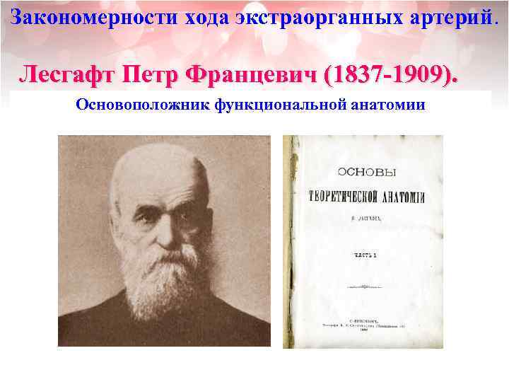 Закономерности хода экстраорганных артерий. Лесгафт Петр Францевич (1837 -1909). Основоположник функциональной анатомии 