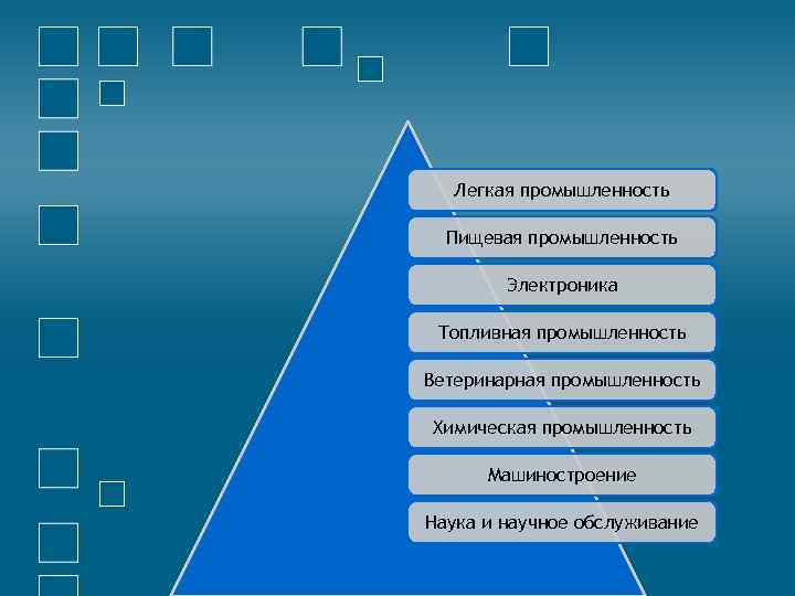 Легкая промышленность Пищевая промышленность Электроника Топливная промышленность Ветеринарная промышленность Химическая промышленность Машиностроение Наука и