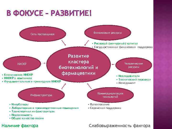 В ФОКУСЕ – РАЗВИТИЕ! Финансовые ресурсы Сеть поставщиков • Рисковый (венчурный) капитал • Государственная