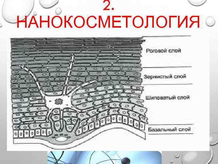 2. НАНОКОСМЕТОЛОГИЯ 