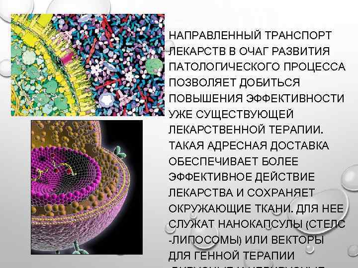 НАПРАВЛЕННЫЙ ТРАНСПОРТ ЛЕКАРСТВ В ОЧАГ РАЗВИТИЯ ПАТОЛОГИЧЕСКОГО ПРОЦЕССА ПОЗВОЛЯЕТ ДОБИТЬСЯ ПОВЫШЕНИЯ ЭФФЕКТИВНОСТИ УЖЕ СУЩЕСТВУЮЩЕЙ