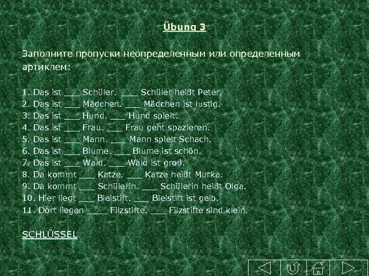 Übung 3 Заполните пропуски неопределенным или определенным артиклем: 1. Das ist ___ Schüler heißt