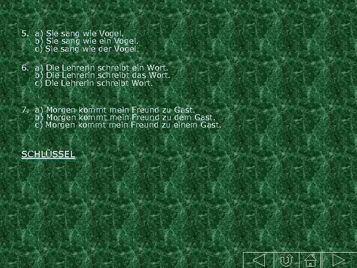 5. a) Sie sang wie Vogel. b) Sie sang wie ein Vogel. c) Sie