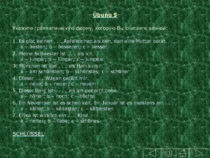 Übung 5 Укажите грамматическую форму, которую Вы считаете верной: 1. Es gibt keinen. .