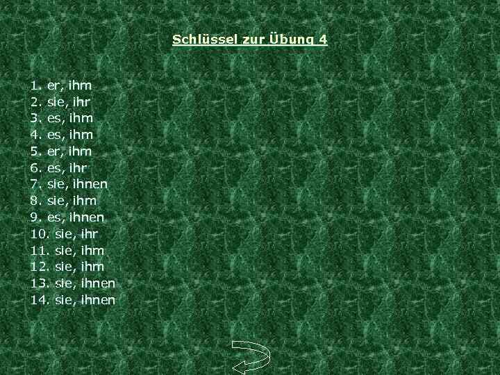 Schlüssel zur Übung 4 1. er, ihm 2. sie, ihr 3. es, ihm 4.