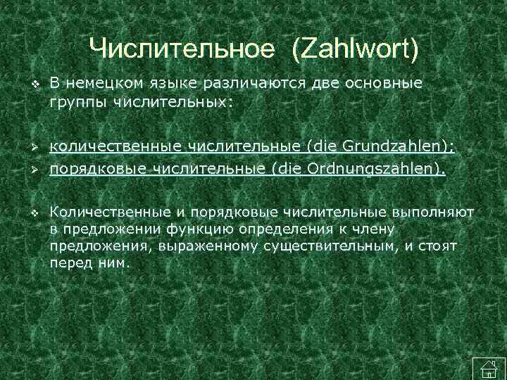 Числительное (Zahlwort) v В немецком языке различаются две основные группы числительных: количественные числительные (die