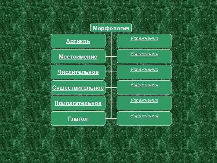 Морфология Артикль Местоимение Числительное Существительное Прилагательное Глагол Упражнения Упражнения 
