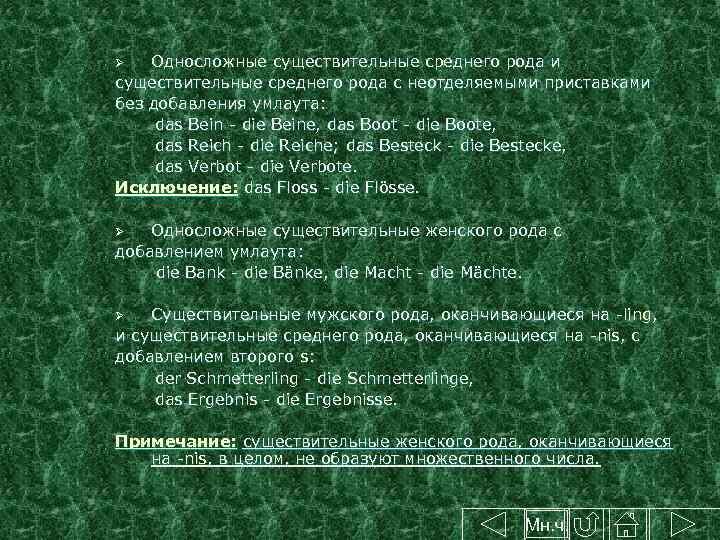 Односложные существительные среднего рода и существительные среднего рода с неотделяемыми приставками без добавления умлаута: