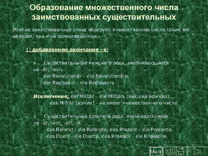 Образование множественного числа заимствованных существительных Многие заимствованные слова образуют множественное число таким же образом,