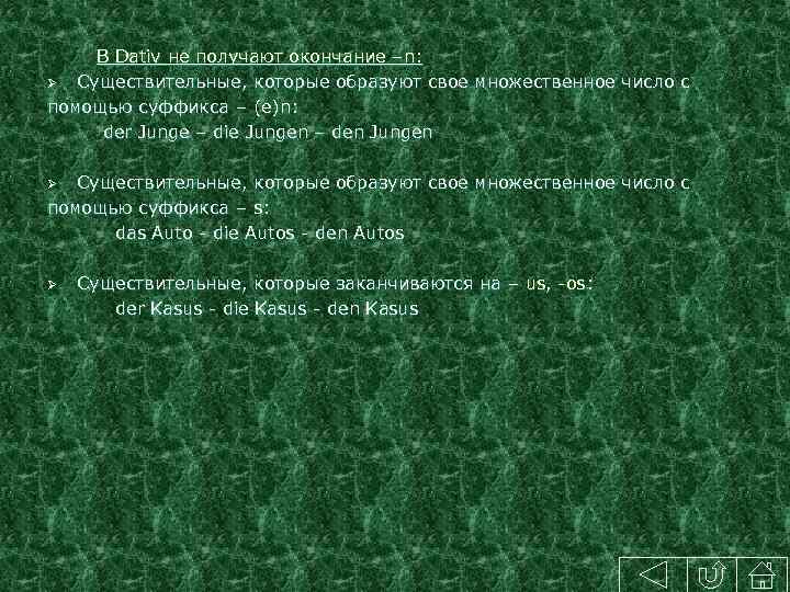  В Dativ не получают окончание –n: Ø Существительные, которые образуют свое множественное число