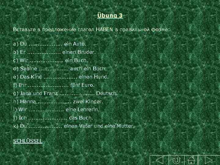 Übung 3 Вставьте в предложение глагол HABEN в правильной форме: a) Du. . .