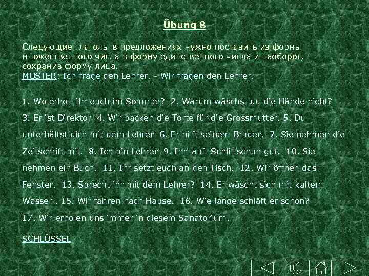 Übung 8 Следующие глаголы в предложениях нужно поставить из формы множественного числа в форму