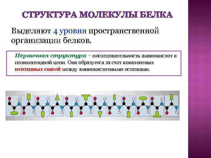 Последовательность аминокислот в молекулах белков