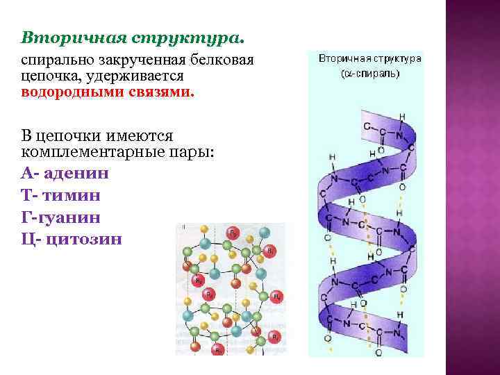 Связь вторичной структуры