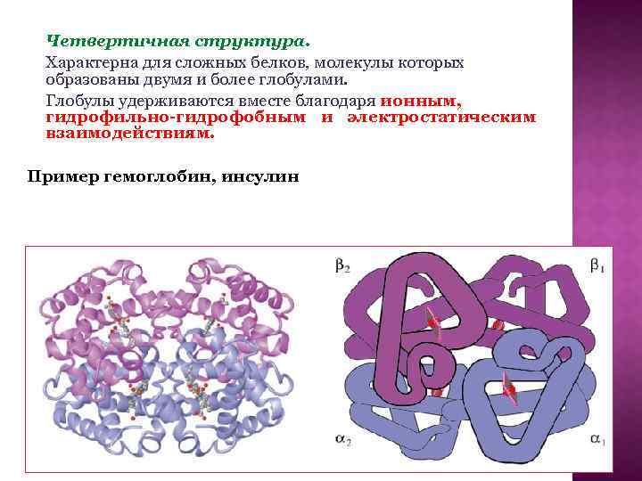 Четвертичная структура молекулы