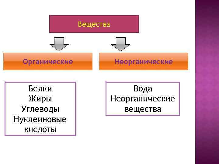 Белок неорганическое вещество