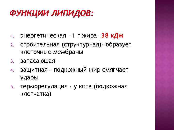 ФУНКЦИИ ЛИПИДОВ: 1. 2. 3. 4. 5. энергетическая – 1 г жира- 38 к.